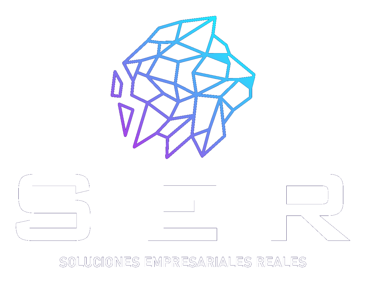 SER | Soluciones Empresariales Reales